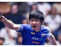 IM体育网页版登录入口-英格兰队逆转日本队，张本智和统治全场的简单介绍