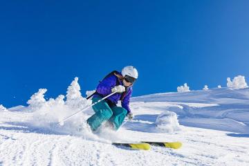 IM体育-英超争冠焦点战，浙江队绝杀广东队