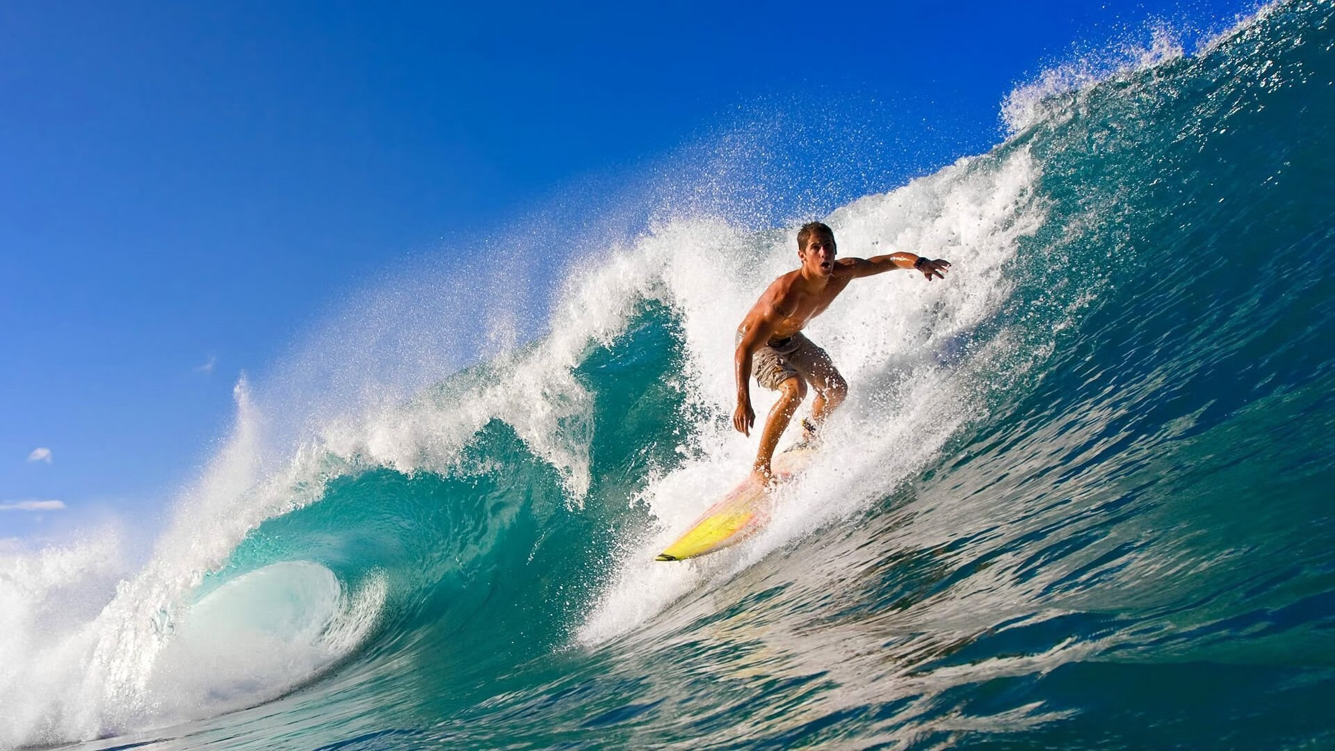 IM体育数据分析平台-德甲争冠战之夜，福克斯末节接管比赛，书写传奇终章